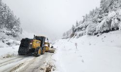 Rize'de 21 Köy Yolu Kardan Kapandı