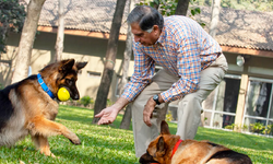 Mirasının Bir Kısmını Köpeği Tito'ya Bıraktı