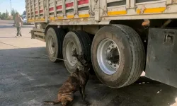 TIR'ın Lastiğindeki 53 Kilo Esrarı Narkotik Köpeği 'Barbara' Buldu