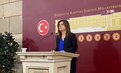 DEM Parti'li Koçyiğit: 1 Hafta Boyunca TBMM Çalışmalarına Katılmayacağız