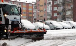 Erzurum'da Kardan Dolayı 1133 Yerleşim Yeri Kapandı