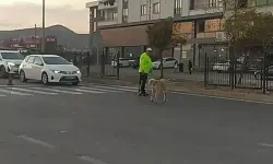 Polis, Sokak Köpeğinin Karşıya Geçmesi İçin Trafiği Durdurdu