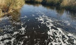 Büyük Menderes Nehri Kirlilik Nedeniyle Siyaha Büründü