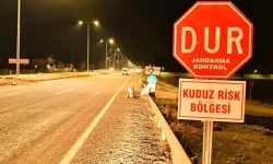 Adıyaman'da Kuduz Alarmı! Bölge Karantinaya Alındı