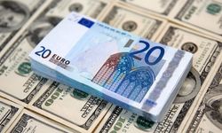 Dolar ve Euro'da Son Durum