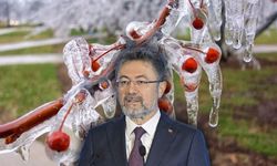 Zirai Don İle İlgili Açıklamalarda Bulunan Bakan Yumaklı Sigortasız Üreticiye de Destek Verileceğini Söyledi