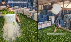 Adana'da Rezalet: Çıplak Ayakla Salatalık Havuzuna Girdi!