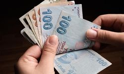 Bakan Açıkladı! Destek Ödemeleri Bugün Hesaplara Yatıyor