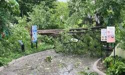 ABD’yi Vuran Fırtınada Can Kaybı: 5 Ölü, 5 Bin Yapı Zarar Gördü!