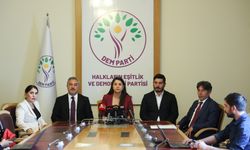 DEM Parti'den 'İnfaz Düzenlemesi' Açıklaması