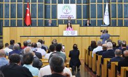 DEM Parti'li Hatimoğulları: Yeni Sürecin Çözüm Adresi Meclis'tir