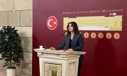 DEM Parti'li Koçyiğit: 10'uncu Yargı Paketi Mutlaka Bayramdan Önce Meclis'ten Geçmeli