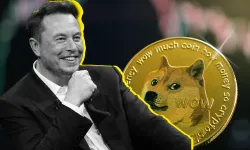 Elon Musk, 'DOGE Misyonu Güçlenerek Sürecek'