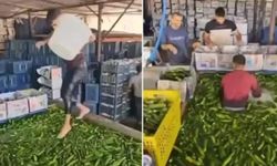 Bakanlıktan 'Kötü Koşullarda Sebze Yıkandığı İddiası'na İnceleme Başlatıldı