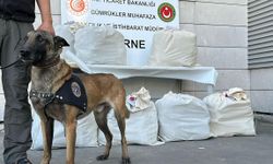 Kapıkule’de Otobüsteki Saklanmış 87 Kilo Esrarı Jeff buldu