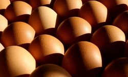 Kahverengi Yumurtaların Artık Satılmayacağı Açıklandı!