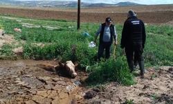 Kırıkkale'de Çamura Batan İneği İtfaiye Kurtardı