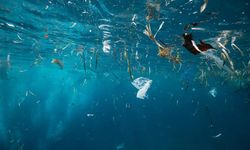 Okyanusun Her Katmanında Mikroplastik Bulundu