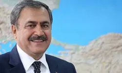 Resmi Gazete'de Yayımlandı: Eski Bakan Irak Özel Temsilciliği'ne Atandı