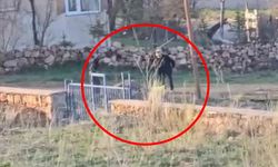 Sivas'ta Eşeğe Sopalı Eziyet Kamerada!