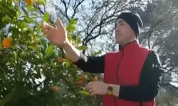 Sarp Levendoğlu İstanbul’u Terk Etti, Köy Hayatını Seçti!