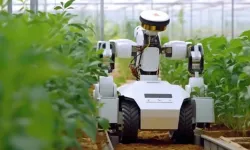 Yapay Zeka Destekli Robot Çiftçiler, Göreve Başladı!