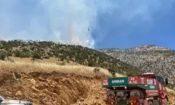 Kahramanmaraş’ta 2 Ayrı Orman Yangını!