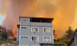 Bursa'da Tarım Arazisinde Yangın: 5 Ev Tahliye Edildi