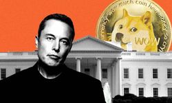 X'in Sahibi Elon Musk: DOGE Günah Keçisi Oldu