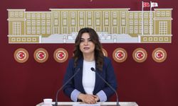 DEM Parti'li Koçyiğit: Bütün Partiler İmralı'ya Gitmeli