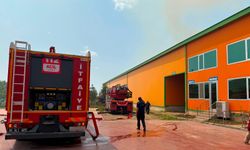 Ankara'da Yumurta Tesisinde Yangın; 150 Bin Tavuk Öldü