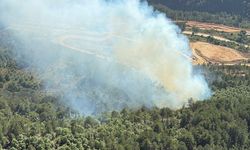 Balıkesir'de Orman Yangını