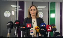DEM Parti'li Doğan: Silahların Bırakılması DEM Parti'nin Taleplerinden Biri