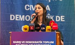 DEM Parti'li Hatimoğulları: Barış Süreci Muhalefet Olmadan Olmaz