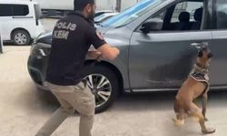 Durdurulan Araçta 82 Kilo Metamfetamin Ele Geçirildi