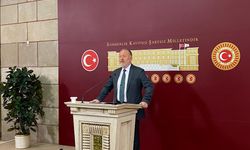 DEM Parti'li Temelli: Türkiye'de Barışı İnşa Etmek Belki İsrail'i de Durduracaktır