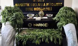 Evinin Bahçesinde Hint Keneviri Yetiştiren Şüpheli Tutuklandı