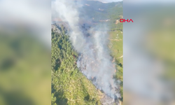 Antalya'da İki Farklı İlçede Orman Yangını