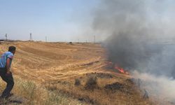 Gaziantep’te Anız Yangını; 300 Dönüm Alanda Etkili Oldu