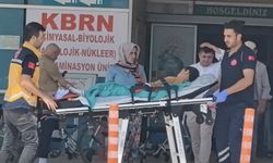 Kurban Kesilen Bahçede Bıçağın Üzerine Düşen Çınar Ağır Yaralandı