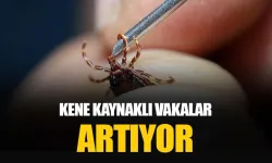 Keneye Karşı Uyarı: Açık Renkli Giysi Giyin, Uzun Kıyafet Tercih Edin!