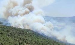 Manisa'daki Orman Yangını 2'nci Gününde