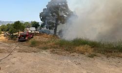 Muğla'da Yangın; 2 Hektar Orman Zarar Gördü