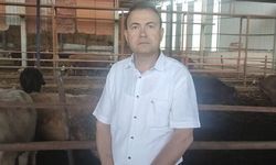 Müşterisinin İsteği Hayatına Mal Oldu: Kurbanlık Fotoğrafı Çekmek İsterken Canından Oldu