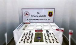Antalya'da 'Narkokapan' Operasyonu: 104 Torbacı Tutuklandı