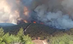 Foça’daki Orman Yangını Aliağa’ya Sıçradı, Yerleşim Yerleri Tehlikede