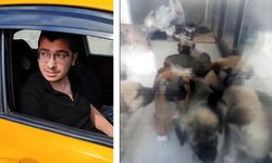 Sahiplendiği Köpekleri Öldürdüğü İddiasıyla Tutuklanan Doktora 17,5 Yıla Kadar Hapis İstemi
