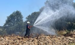 Sakarya'da 150 Dönümlük Buğday ve Arpa Tarlası Yandı