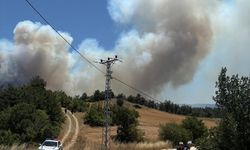 Sakarya'da Çıkıp Bilecik'e Sıçrayan Orman Yangını 2'nci Gününde