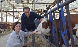 Veteriner Çift, Çiftlikteki Yeni Doğan Buzağılarına Tanıdıklarının İsmini Veriyor